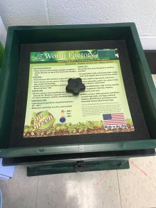 Brittany's classroom vermiculture bin demonstrates how worms turn food into healthy compost for her students. 